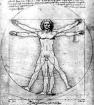 Da Vinci's Vitruvian Man